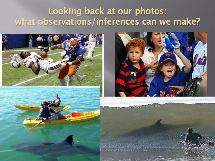 Looking back at our photos: what observations/inferences can we make? 