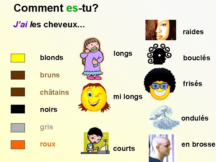 Comment es-tu? J’ai les cheveux… blonds raides longs bouclés bruns frisés châtains mi longs