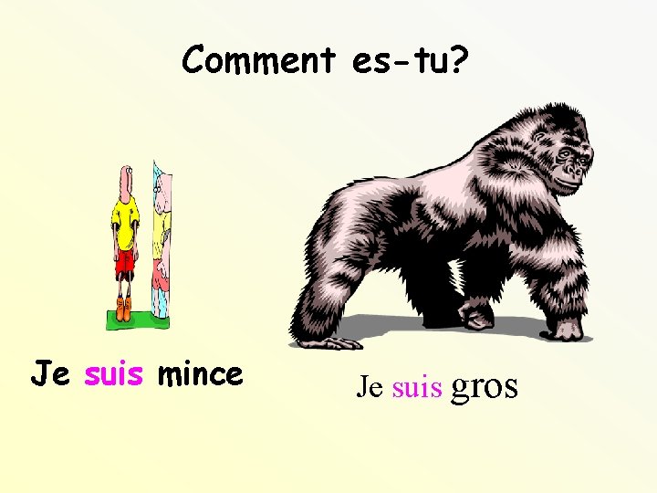 Comment es-tu? Je suis mince Je suis gros 