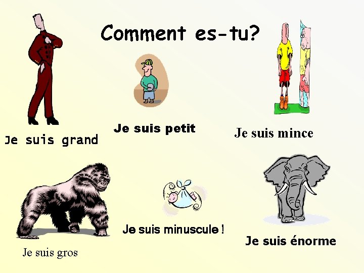 Comment es-tu? Je suis grand Je suis petit Je suis minuscule ! Je suis