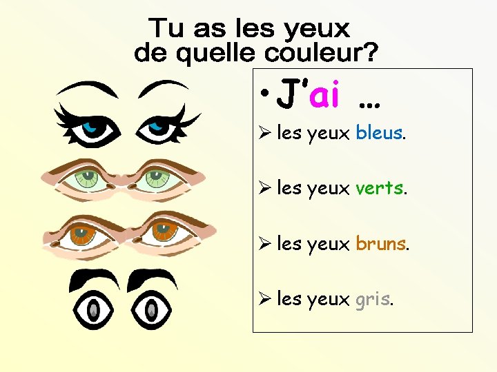  • J’ai … Ø les yeux bleus. Ø les yeux verts. Ø les