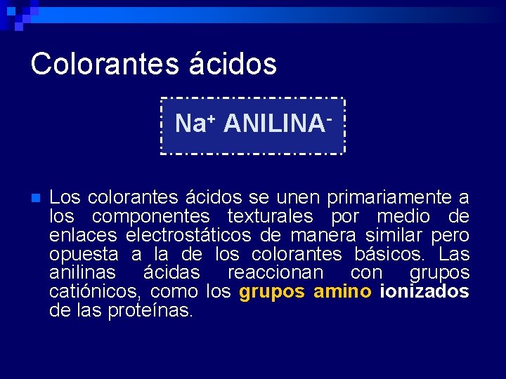 Colorantes ácidos Na+ ANILINAn Los colorantes ácidos se unen primariamente a los componentes texturales