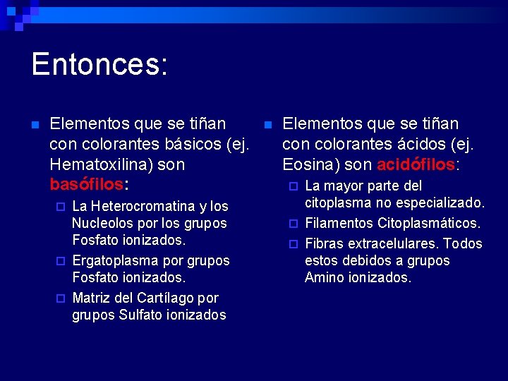 Entonces: n Elementos que se tiñan colorantes básicos (ej. Hematoxilina) son basófilos: La Heterocromatina