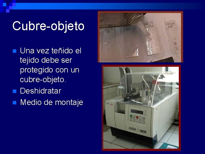 Cubre-objeto n n n Una vez teñido el tejido debe ser protegido con un