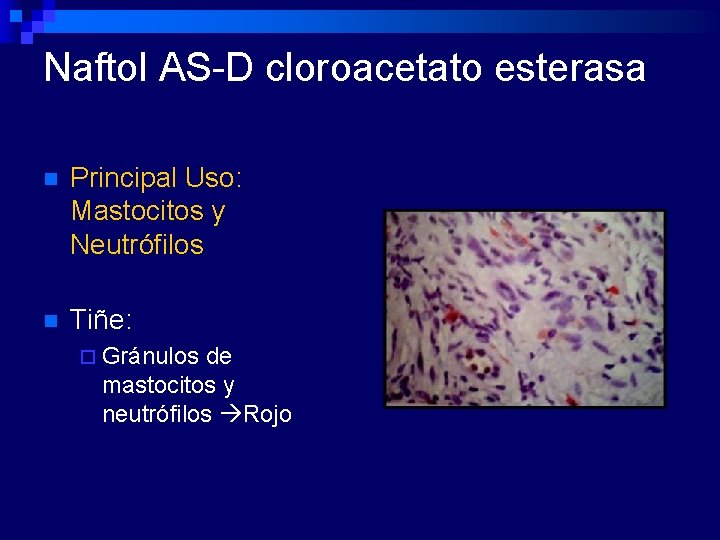 Naftol AS-D cloroacetato esterasa n Principal Uso: Mastocitos y Neutrófilos n Tiñe: ¨ Gránulos
