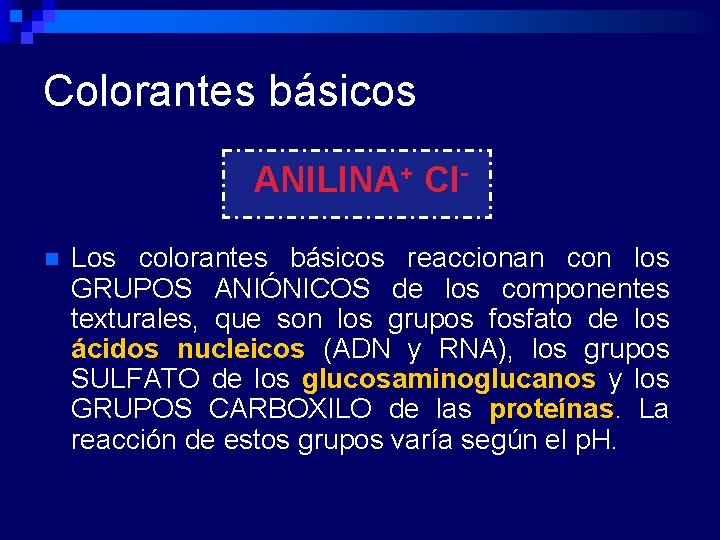 Colorantes básicos ANILINA+ Cln Los colorantes básicos reaccionan con los GRUPOS ANIÓNICOS de los