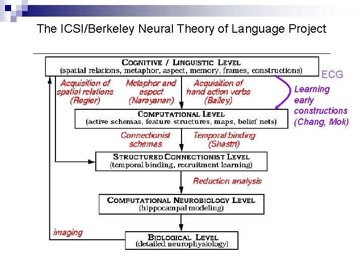The ICSI/Berkeley Neural Theory of Language Project ECG Learning early constructions (Chang, Mok) 