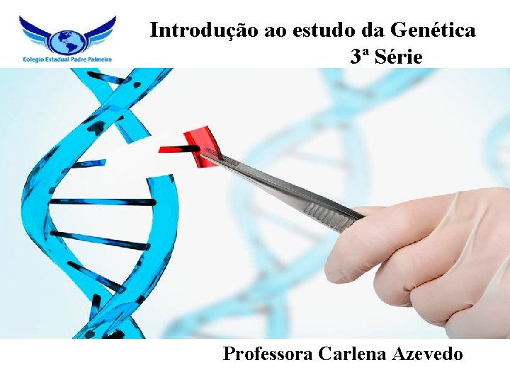 Introdução ao estudo da Genética 3ª Série Professora Carlena Azevedo 