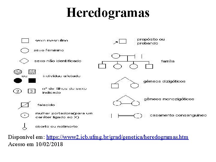 Heredogramas Disponível em: https: //www 2. icb. ufmg. br/grad/genetica/heredogramas. htm Acesso em 10/02/2018 
