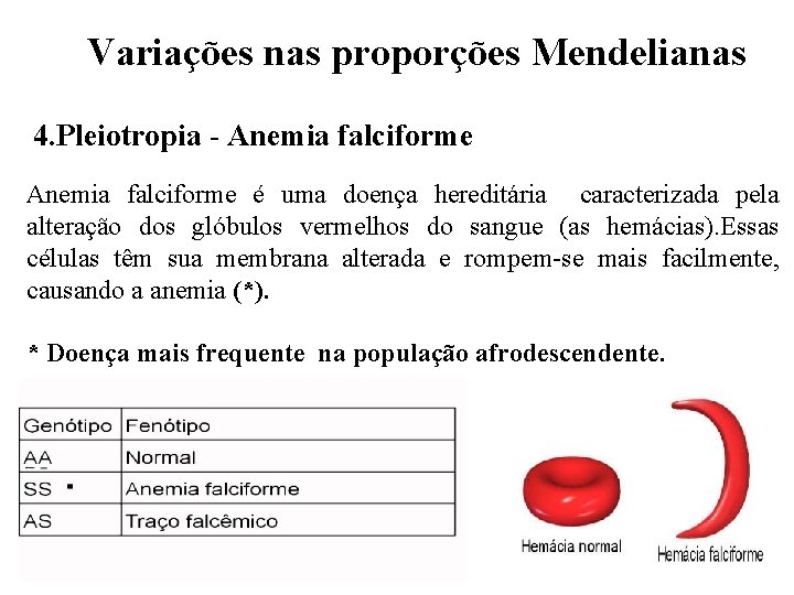 Variações nas proporções Mendelianas 4. Pleiotropia - Anemia falciforme é uma doença hereditária caracterizada