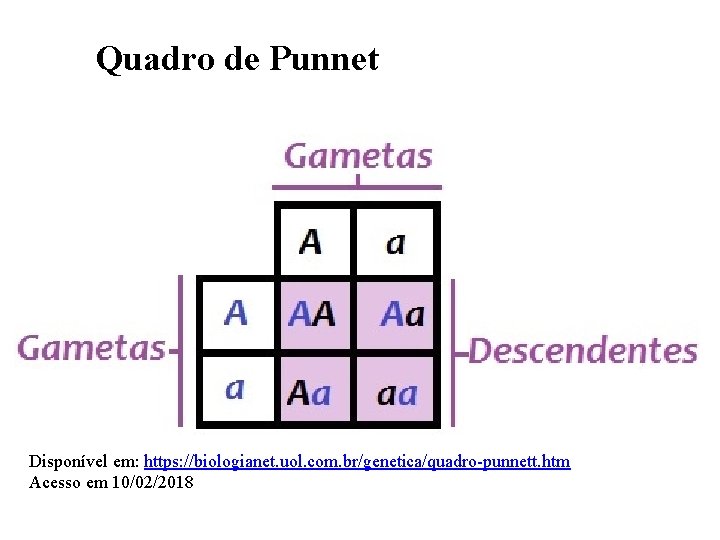 Quadro de Punnet Disponível em: https: //biologianet. uol. com. br/genetica/quadro-punnett. htm Acesso em 10/02/2018