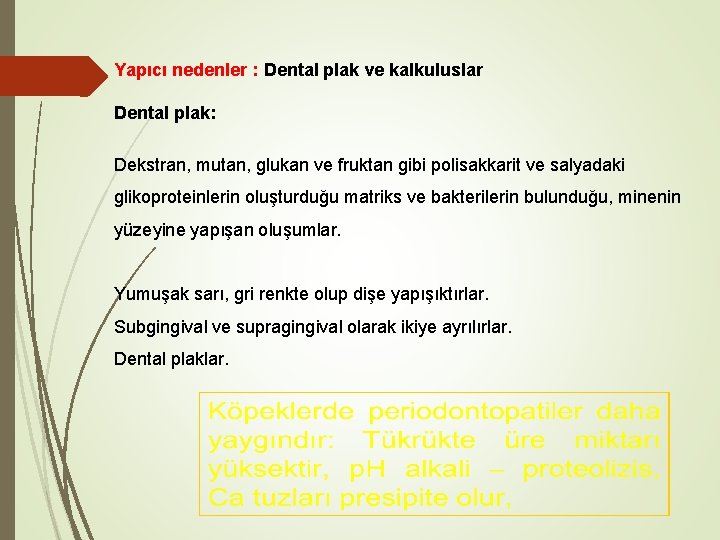 Yapıcı nedenler : Dental plak ve kalkuluslar Dental plak: Dekstran, mutan, glukan ve fruktan Yapıcı nedenler : Dental plak ve kalkuluslar Dental plak: Dekstran, mutan, glukan ve fruktan