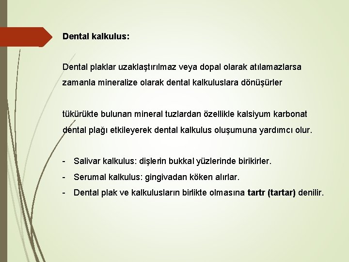 Dental kalkulus: Dental plaklar uzaklaştırılmaz veya dopal olarak atılamazlarsa zamanla mineralize olarak dental kalkuluslara Dental kalkulus: Dental plaklar uzaklaştırılmaz veya dopal olarak atılamazlarsa zamanla mineralize olarak dental kalkuluslara