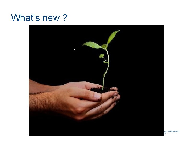 What’s new ? 