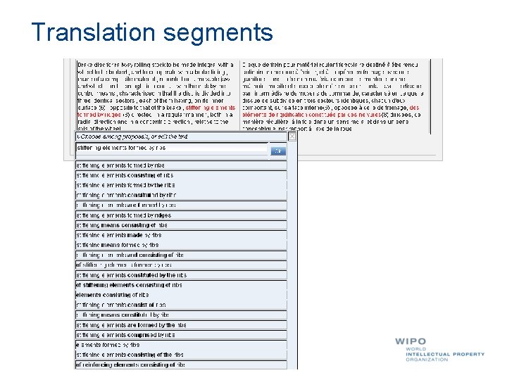 Translation segments 