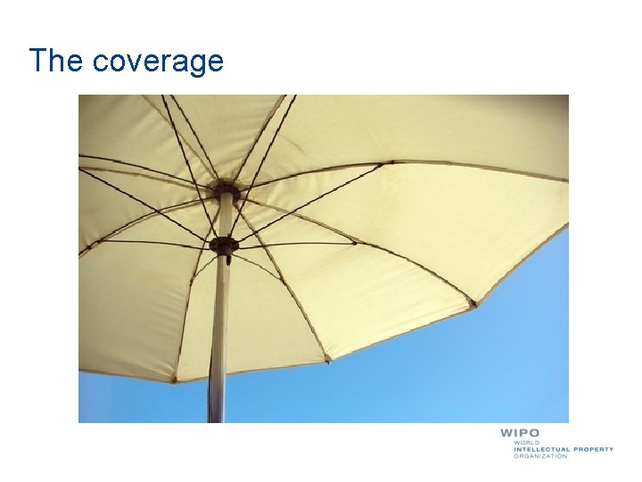The coverage 