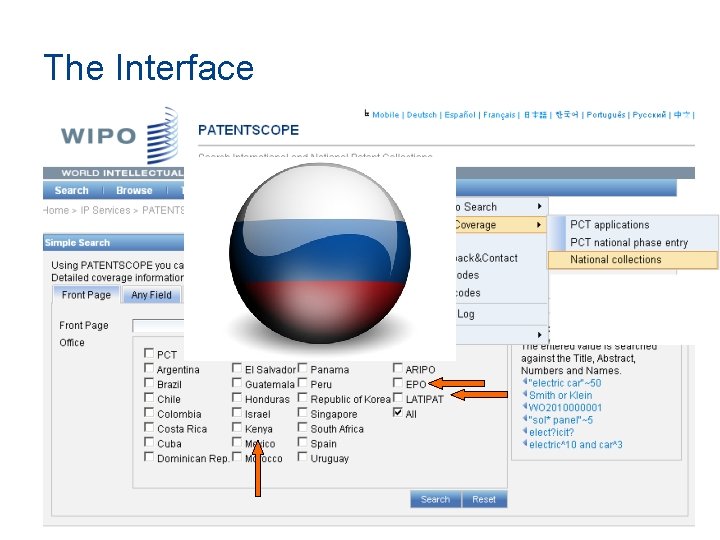 The Interface 