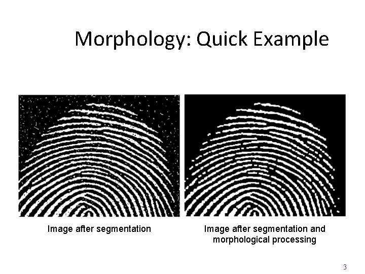 Morphology: Quick Example Image after segmentation and morphological processing 3 