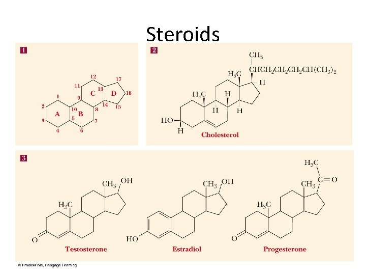 Steroids Steroids
