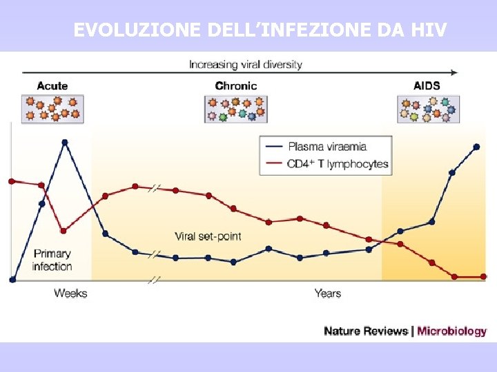 EVOLUZIONE DELL’INFEZIONE DA HIV EVOLUZIONE DELL’INFEZIONE DA HIV