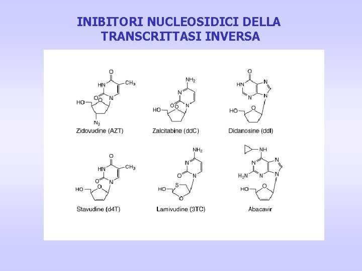 INIBITORI NUCLEOSIDICI DELLA TRANSCRITTASI INVERSA INIBITORI NUCLEOSIDICI DELLA TRANSCRITTASI INVERSA