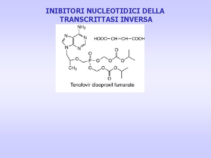 INIBITORI NUCLEOTIDICI DELLA TRANSCRITTASI INVERSA INIBITORI NUCLEOTIDICI DELLA TRANSCRITTASI INVERSA