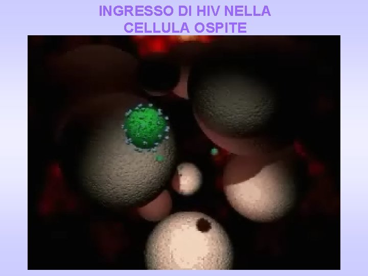 INGRESSO DI HIV NELLA CELLULA OSPITE INGRESSO DI HIV NELLA CELLULA OSPITE
