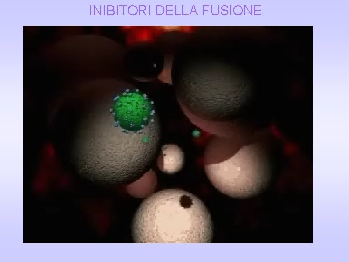 INIBITORI DELLA FUSIONE INIBITORI DELLA FUSIONE