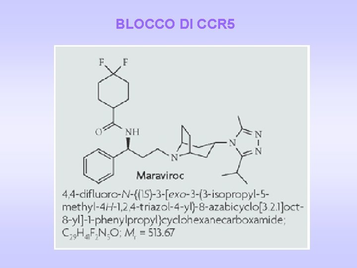 BLOCCO DI CCR 5 BLOCCO DI CCR 5