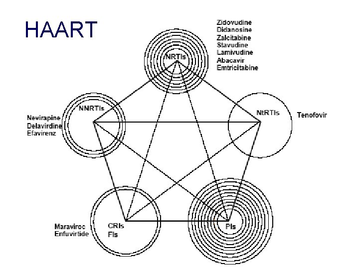 HAART HAART