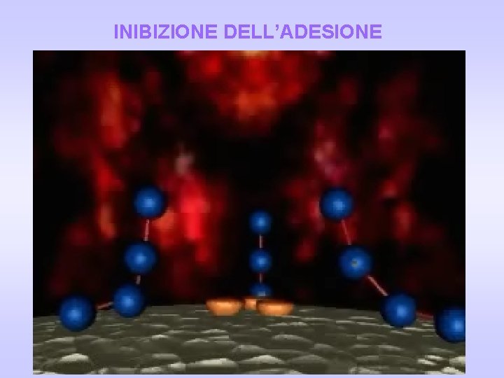 INIBIZIONE DELL’ADESIONE INIBIZIONE DELL’ADESIONE