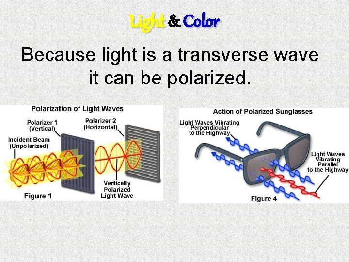 Light & Color Because light is a transverse wave it can be polarized. 