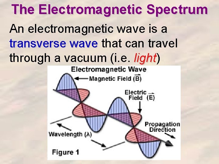 The Electromagnetic Spectrum An electromagnetic wave is a transverse wave that can travel through