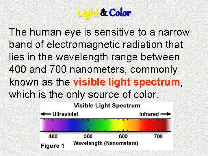 Light & Color The human eye is sensitive to a narrow band of electromagnetic