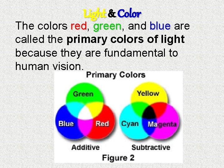 Light & Color The colors red, red green, green and blue are called the