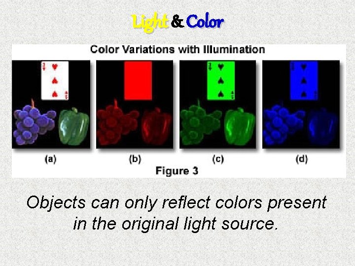 Light & Color Objects can only reflect colors present in the original light source.