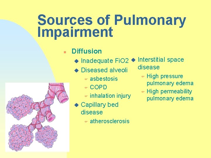 Sources of Pulmonary Impairment n Diffusion Inadequate Fi. O 2 u Diseased alveoli u