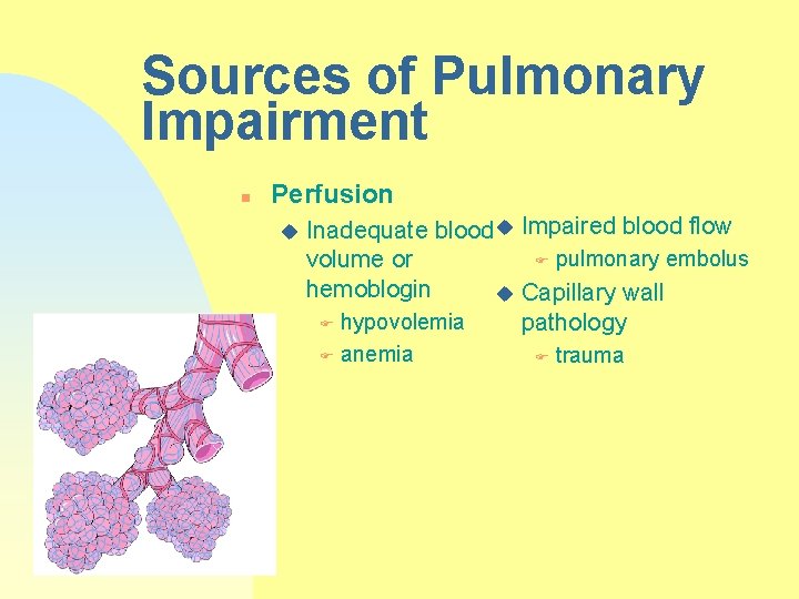 Sources of Pulmonary Impairment n Perfusion u Inadequate blood u Impaired blood flow F