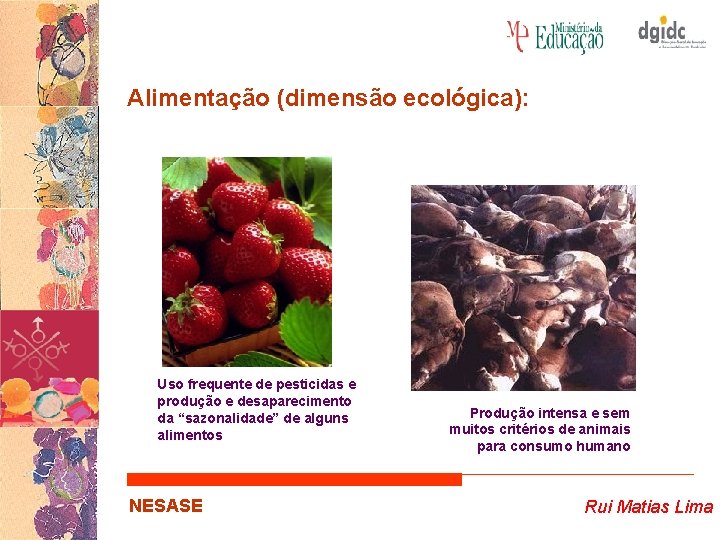 Alimentação (dimensão ecológica): Uso frequente de pesticidas e produção e desaparecimento da “sazonalidade” de