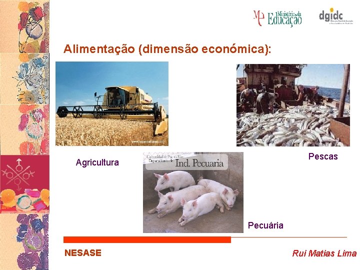 Alimentação (dimensão económica): Pescas Agricultura Pecuária NESASE Rui Matias Lima 