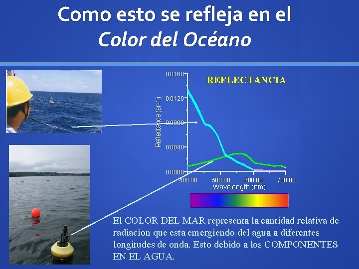 Como esto se refleja en el Color del Océano Reflectance (sr-1) 0. 0160 REFLECTANCIA