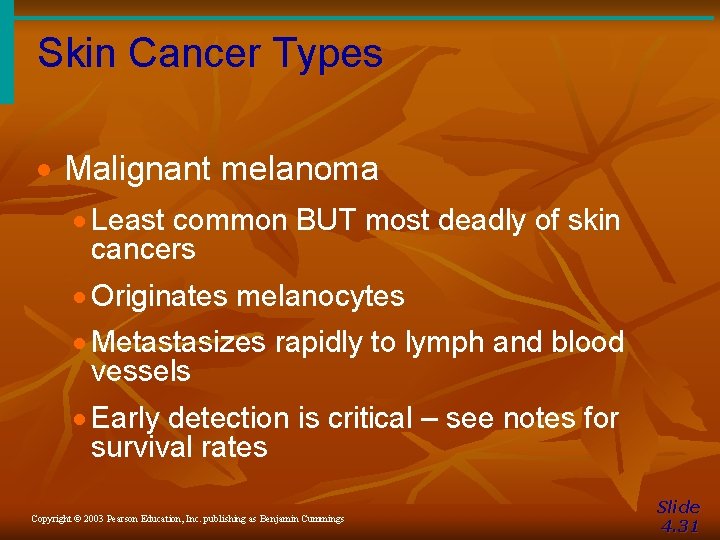 Skin Cancer Types · Malignant melanoma · Least common BUT most deadly of skin