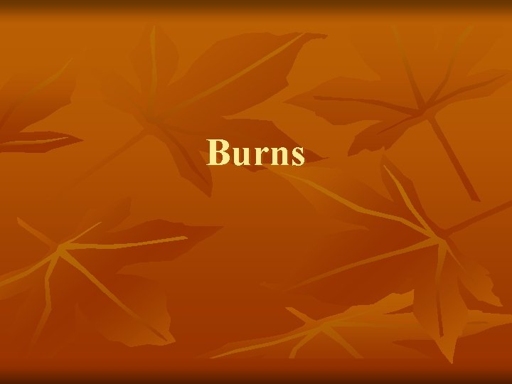 Burns Burns