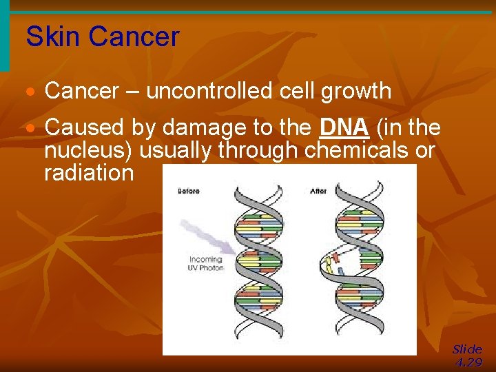 Skin Cancer · Cancer – uncontrolled cell growth · Caused by damage to the
