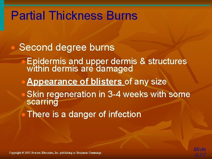 Partial Thickness Burns · Second degree burns · Epidermis and upper dermis & structures