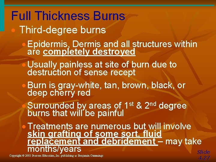 Full Thickness Burns · Third-degree burns · Epidermis, Dermis and all structures within are