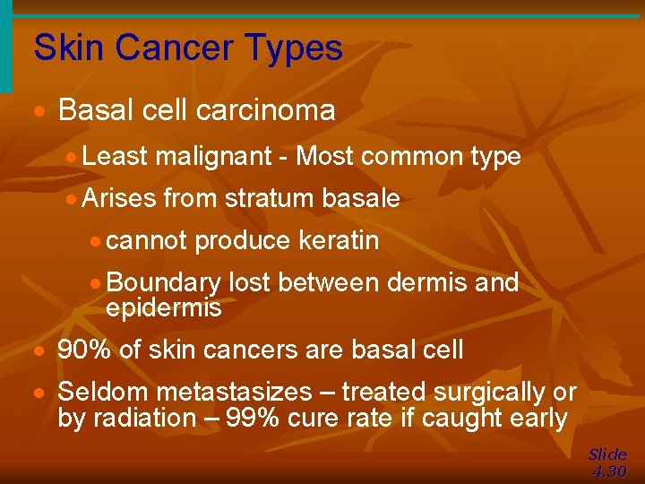 Skin Cancer Types · Basal cell carcinoma · Least malignant - Most common type