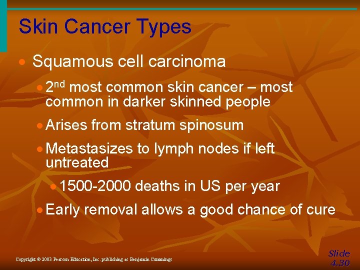 Skin Cancer Types · Squamous cell carcinoma · 2 nd most common skin cancer