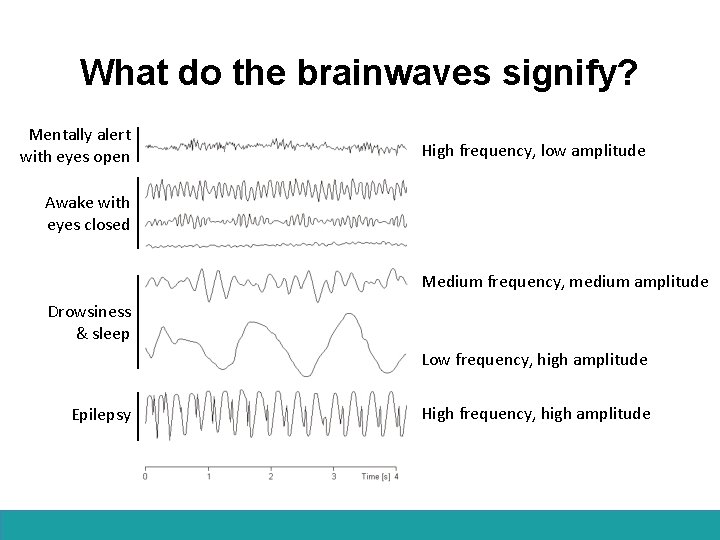 What do the brainwaves signify? Mentally alert with eyes open High frequency, low amplitude