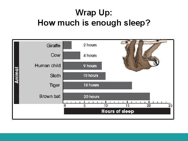 Wrap Up: How much is enough sleep? 